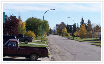 Fall Colors